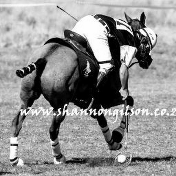 Meet your Posher, Parker - Picture 1 of 1